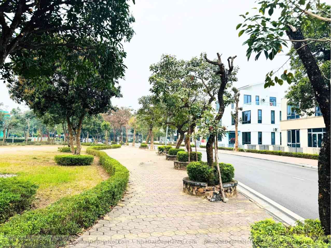 Bán biệt thự đơn lập Đặng Xá Gia Lâm 450m2 mặt tiền 21m trục chính