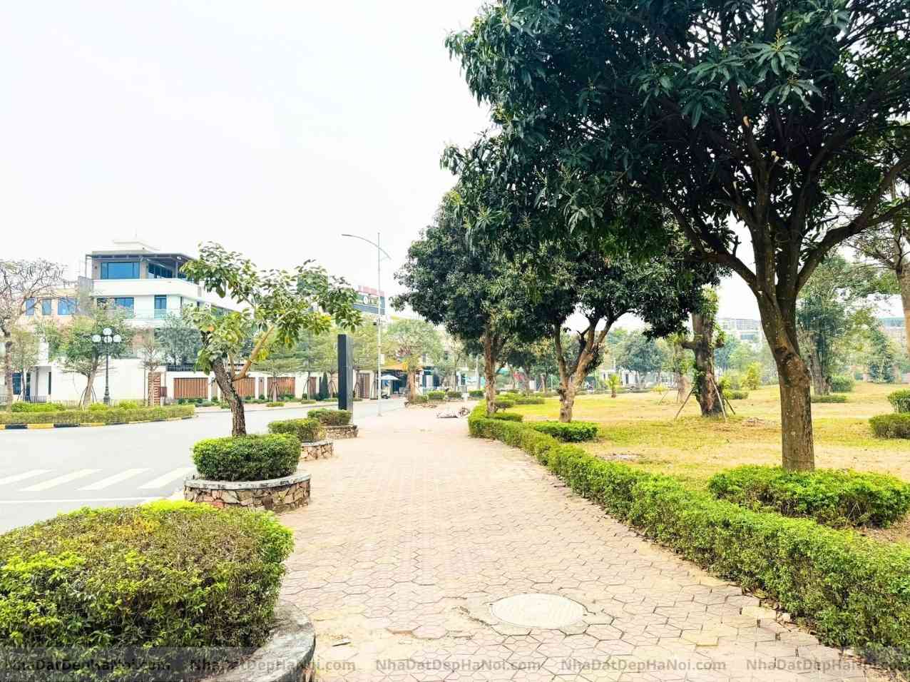 Bán biệt thự đơn lập Đặng Xá Gia Lâm 450m2 mặt tiền 21m trục chính