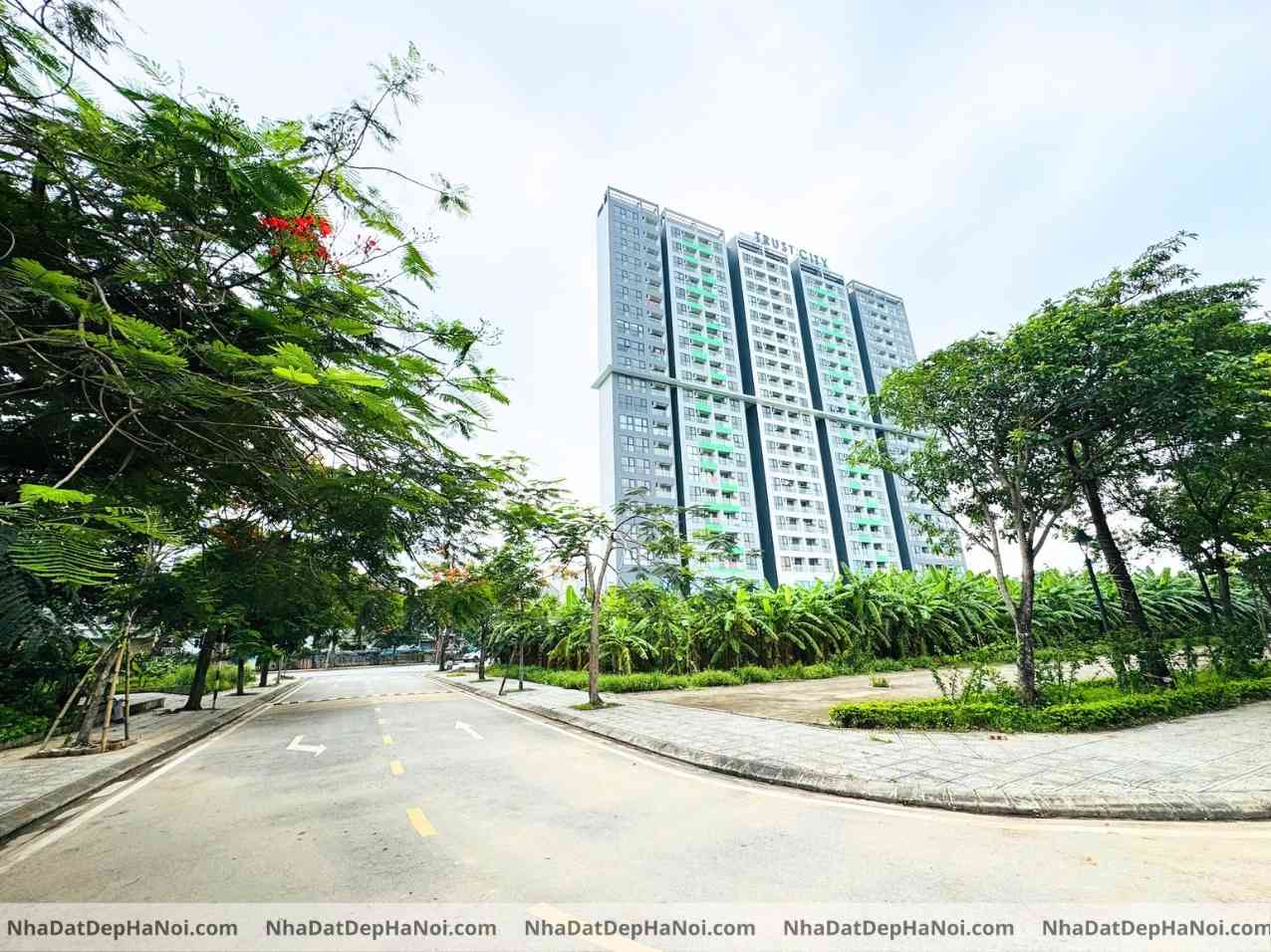Bán đất biệt thự Hải Long Trang Văn Giang 245m2 mặt tiền 9m