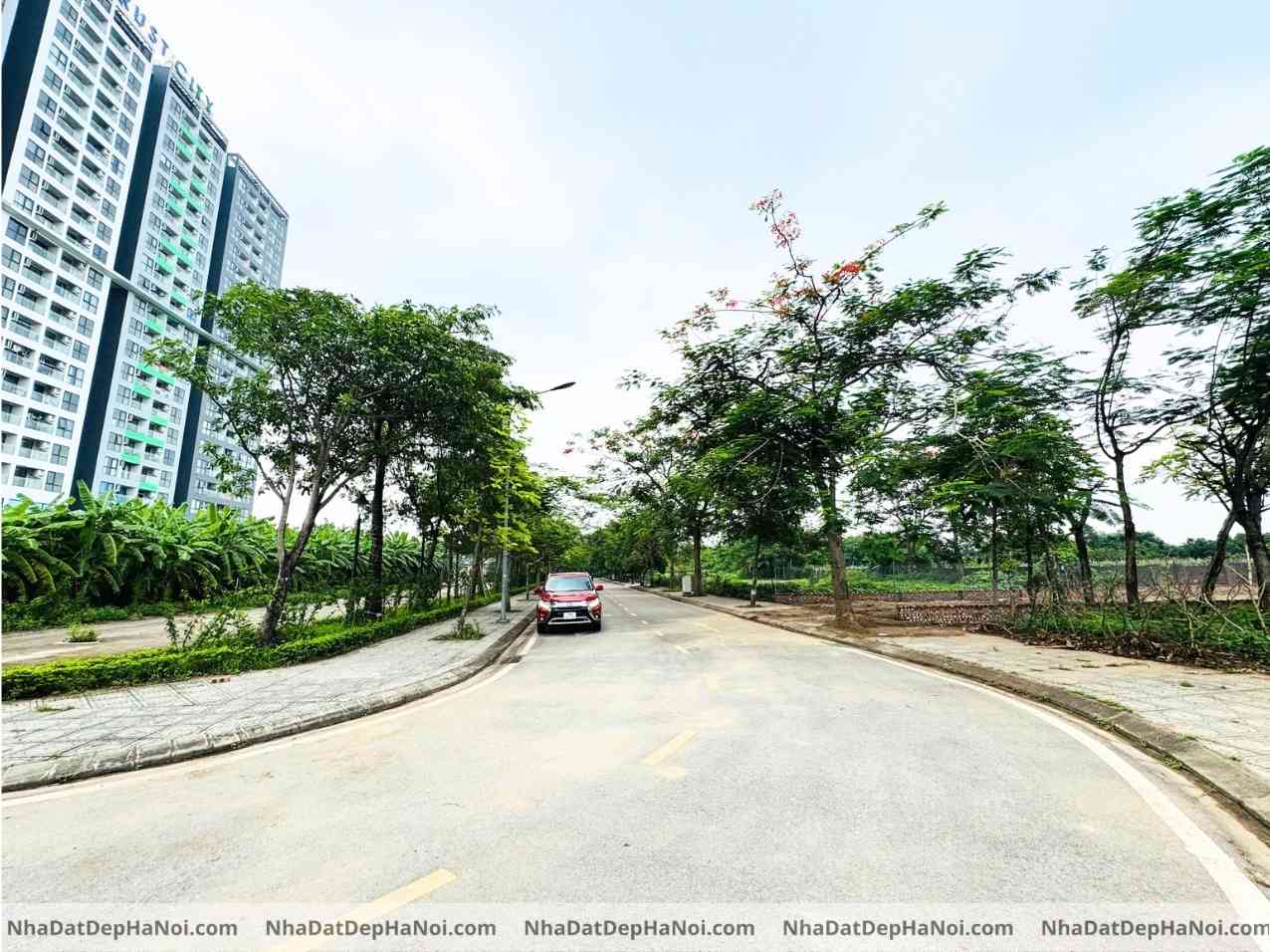 Bán đất biệt thự Hải Long Trang Văn Giang 245m2 mặt tiền 9m