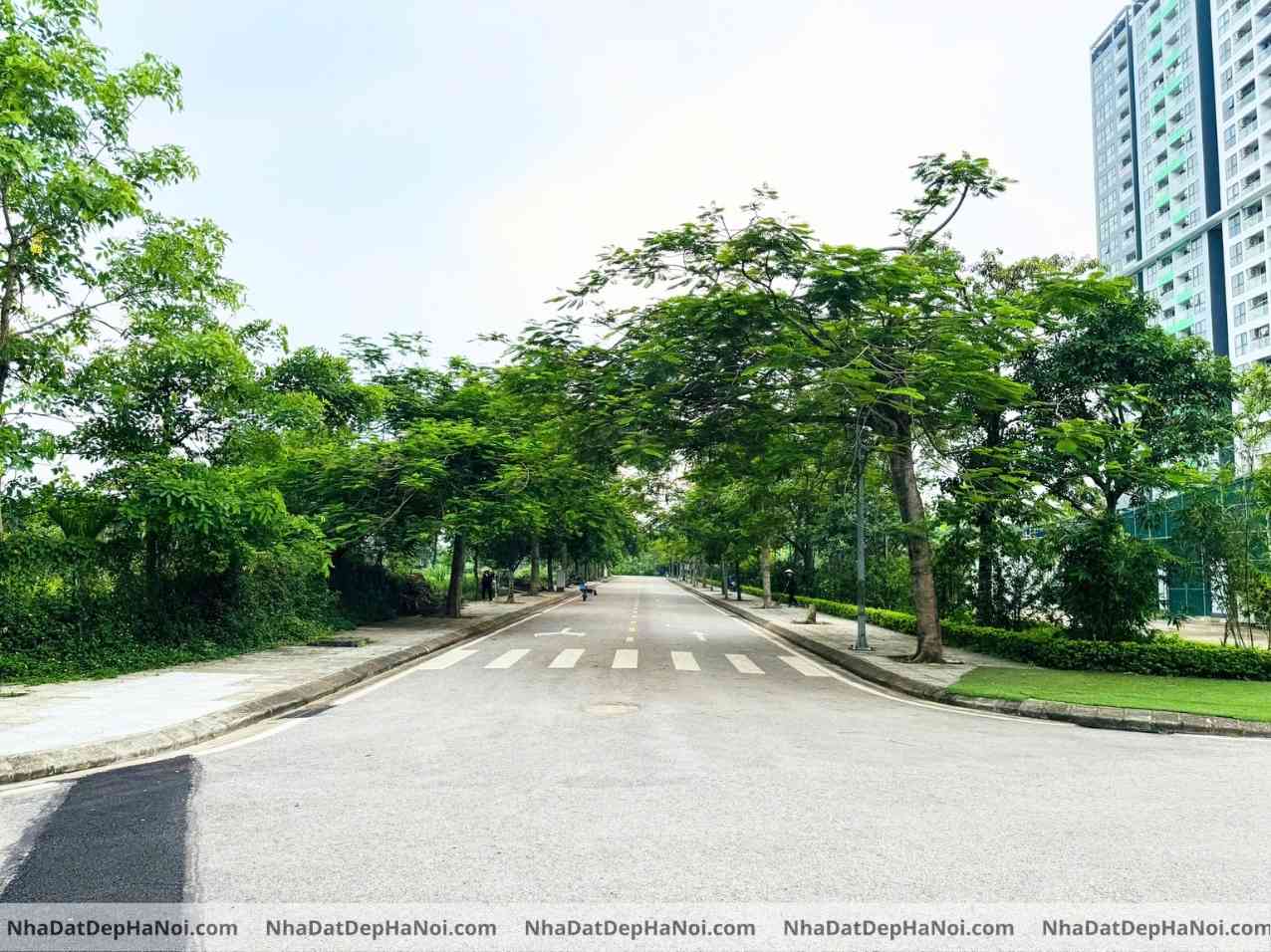 Bán đất biệt thự Hải Long Trang Văn Giang 245m2 mặt tiền 9m