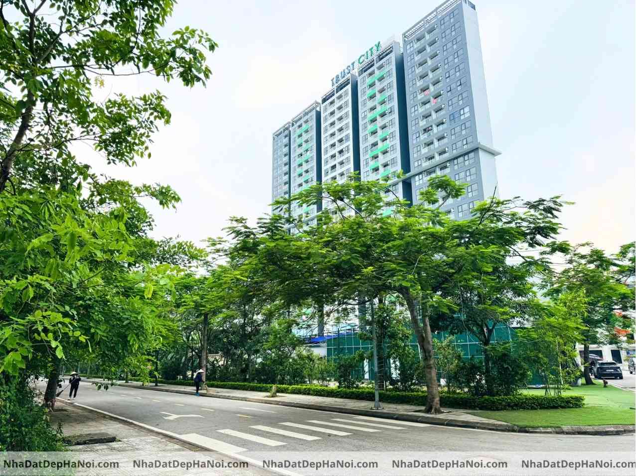 Bán đất biệt thự Hải Long Trang Văn Giang 245m2 mặt tiền 9m