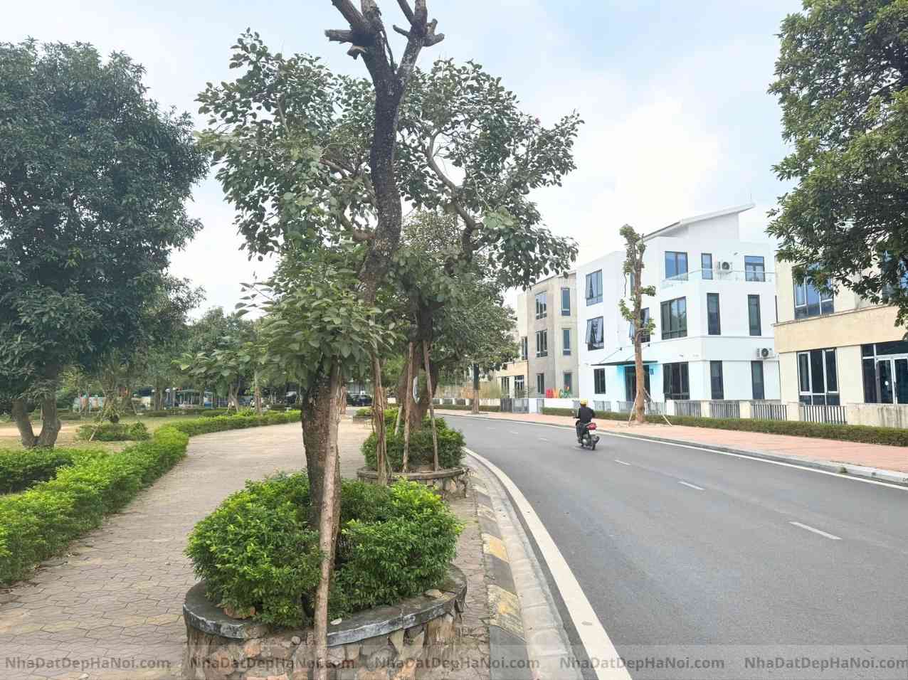 Bán biệt thự đơn lập Đặng Xá Gia Lâm 450m2 mặt tiền 21m trục chính