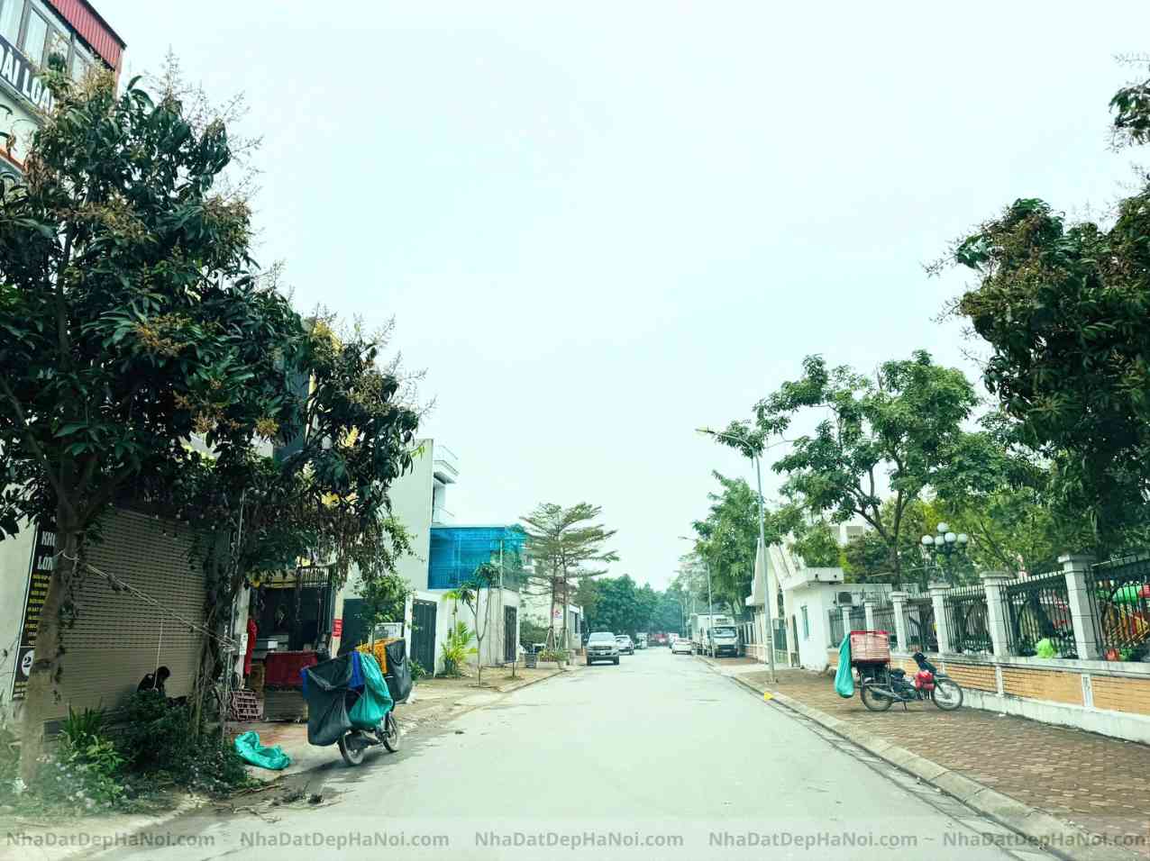 Bán đất 31 ha Trâu Quỳ Gia Lâm . Đất xây biệt thự đường 13,5m 210m2 mặt tiền 9,7m